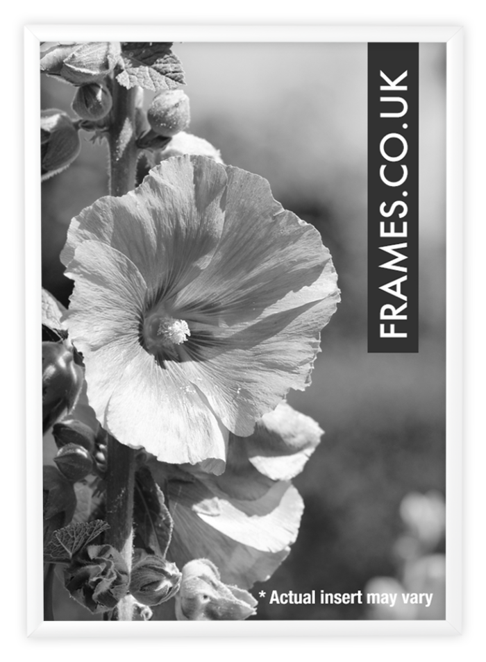 A4 White Aluminium Frame